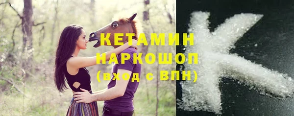 гашик Инта