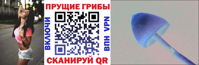 Галлюциногенные грибы MAGIC MUSHROOMS  Купить закладки  Дзержинский 